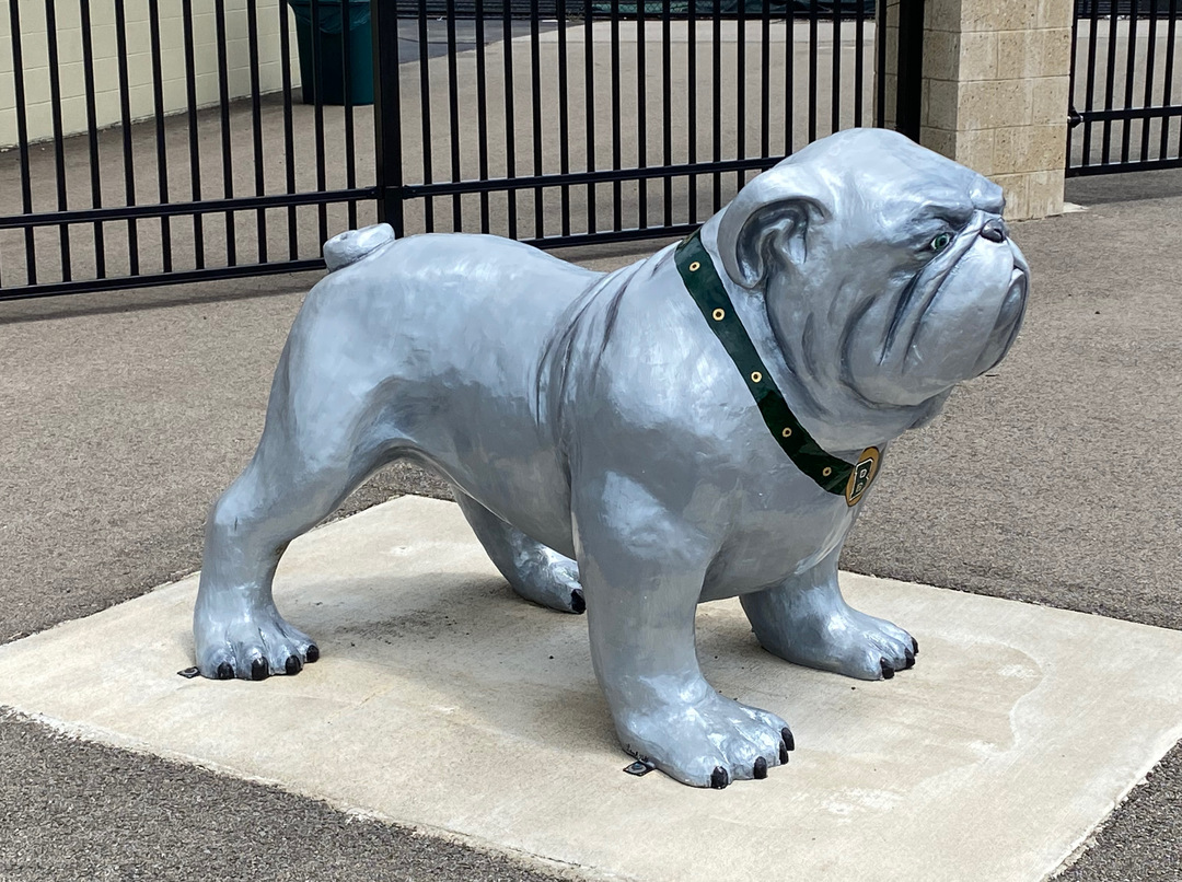 BataviaHS bulldog side.jpeg BataviaHS bulldog side.jpeg
