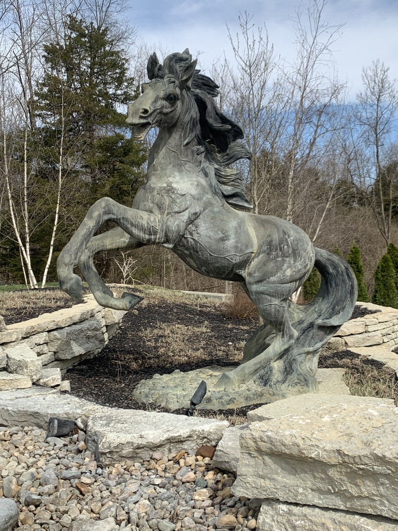 Liberty Bluff Horse Full View Liberty Bluff Horse Full View