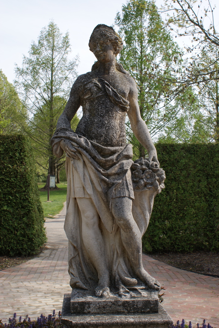 Flora.JPG Flora.JPG