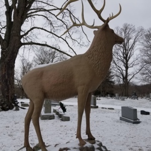 20210128_105214[1].jpg