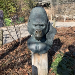 Baron Macombo "Mac" Bust Full View
