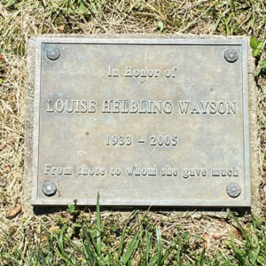 Girl reading on bench plaque.jpeg