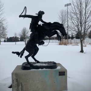 Bronco Buster View 2