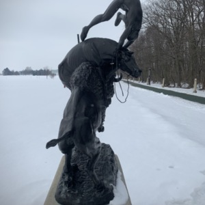 Buffalo Horse View 3