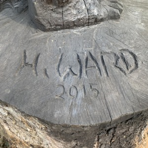 Johnny Appleseed Artist Signature View