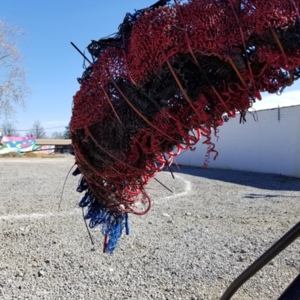 20210314_150500[1].jpg