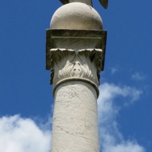 Eagle.jpg