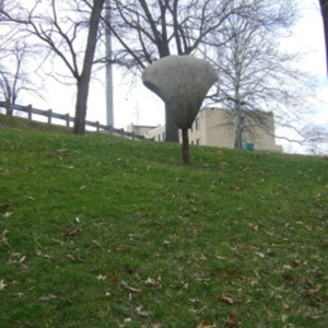 DSC02265.jpg