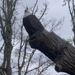 Back Eagle View, Eagle Nest