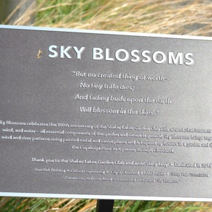 Sky Blossoms Plaque.JPG