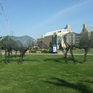 DSCF2783.JPG