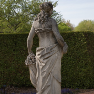Flora Rear View.JPG