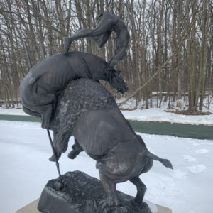 Buffalo Horse View 4