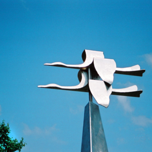 2003 finn mon 14 swans.jpg