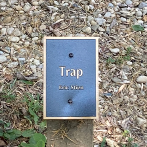 Trap plaque.jpeg