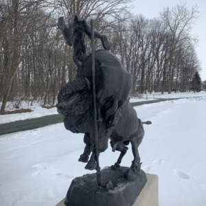 Buffalo Horse View 6