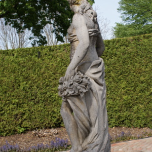 Flora Left View.JPG