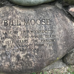 Bill Moose 3.png