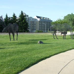 DSCF2784.JPG