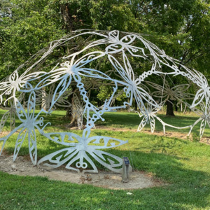 Dragonfly dome photo2.jpeg