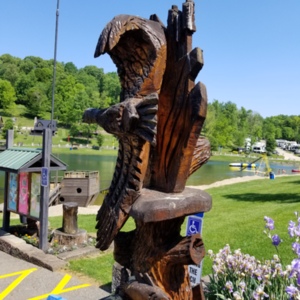 20210523_110123[1].jpg