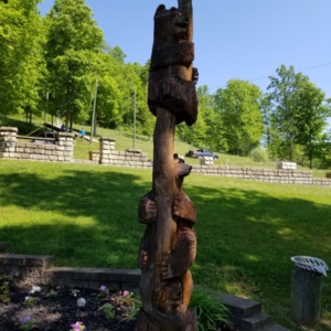 20210523_105416[1].jpg