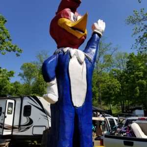 20210523_104727[1].jpg