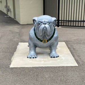 BataviaHS bulldog front.jpeg