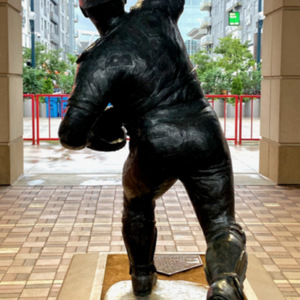 Johnny Bench back.jpeg