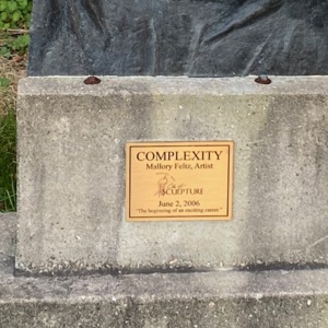 Complexity plaque.jpeg