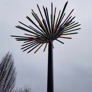 20210228_140056[1].jpg