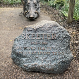 Skeeter Plaque and Mother Warthog