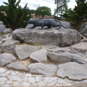 Mountain Lion Rocks.JPG