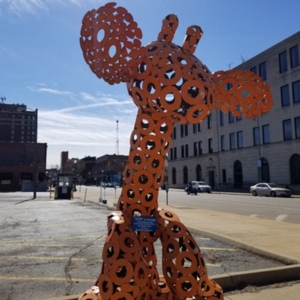 20210314_144243[1].jpg