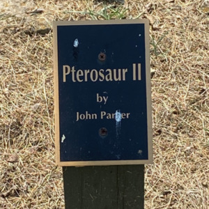 Pterosaur plaque.jpeg