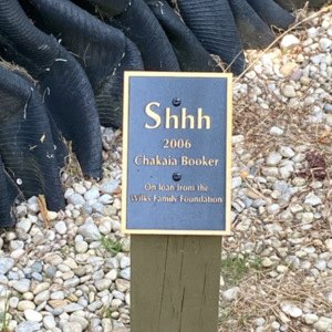 Shhh plaque.jpeg