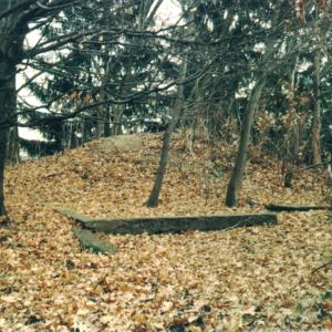 Woodshed 2.jpg
