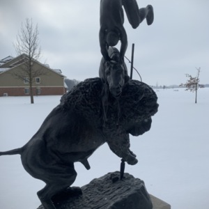 Buffalo Horse View 2