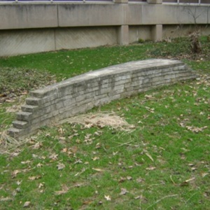 DSC02238.jpg