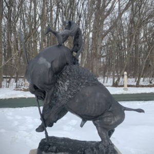 Buffalo Horse View 5
